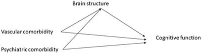 Effects of Vascular Comorbidity on Cognition in Multiple Sclerosis Are Partially Mediated by Changes in Brain Structure